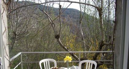 Au coeur d'une chĂątaigneraie