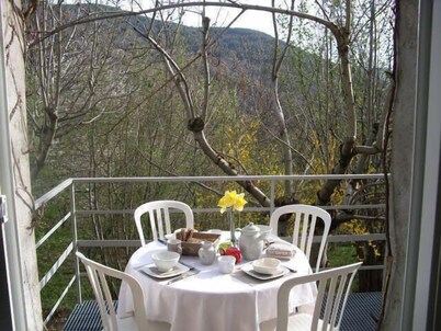 In the heart of a chestnut grove