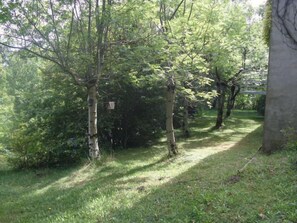 Property grounds - In the heart of a chestnut grove (Pont De Montvert - Sud Mont Lozère)