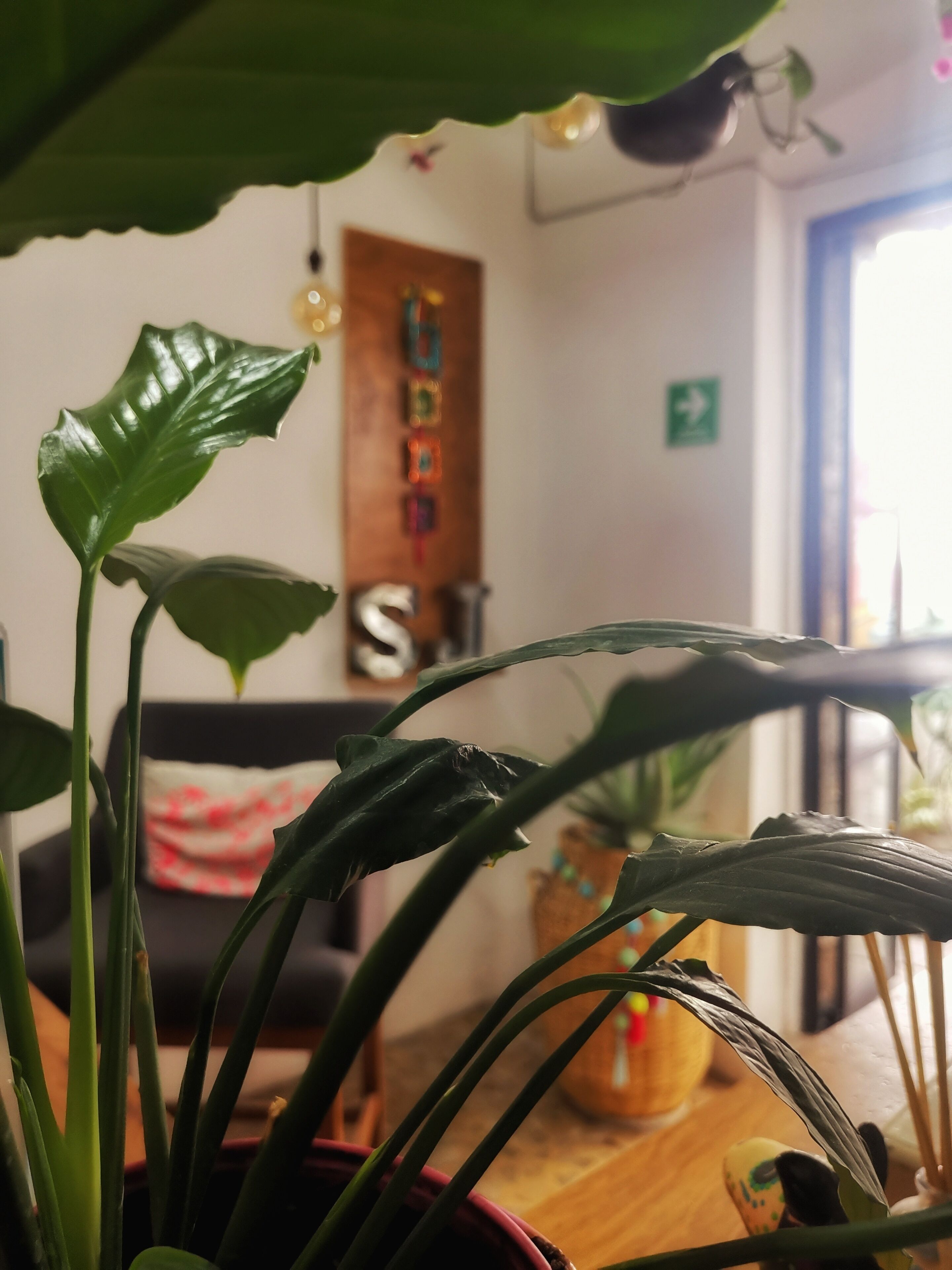 Recepción