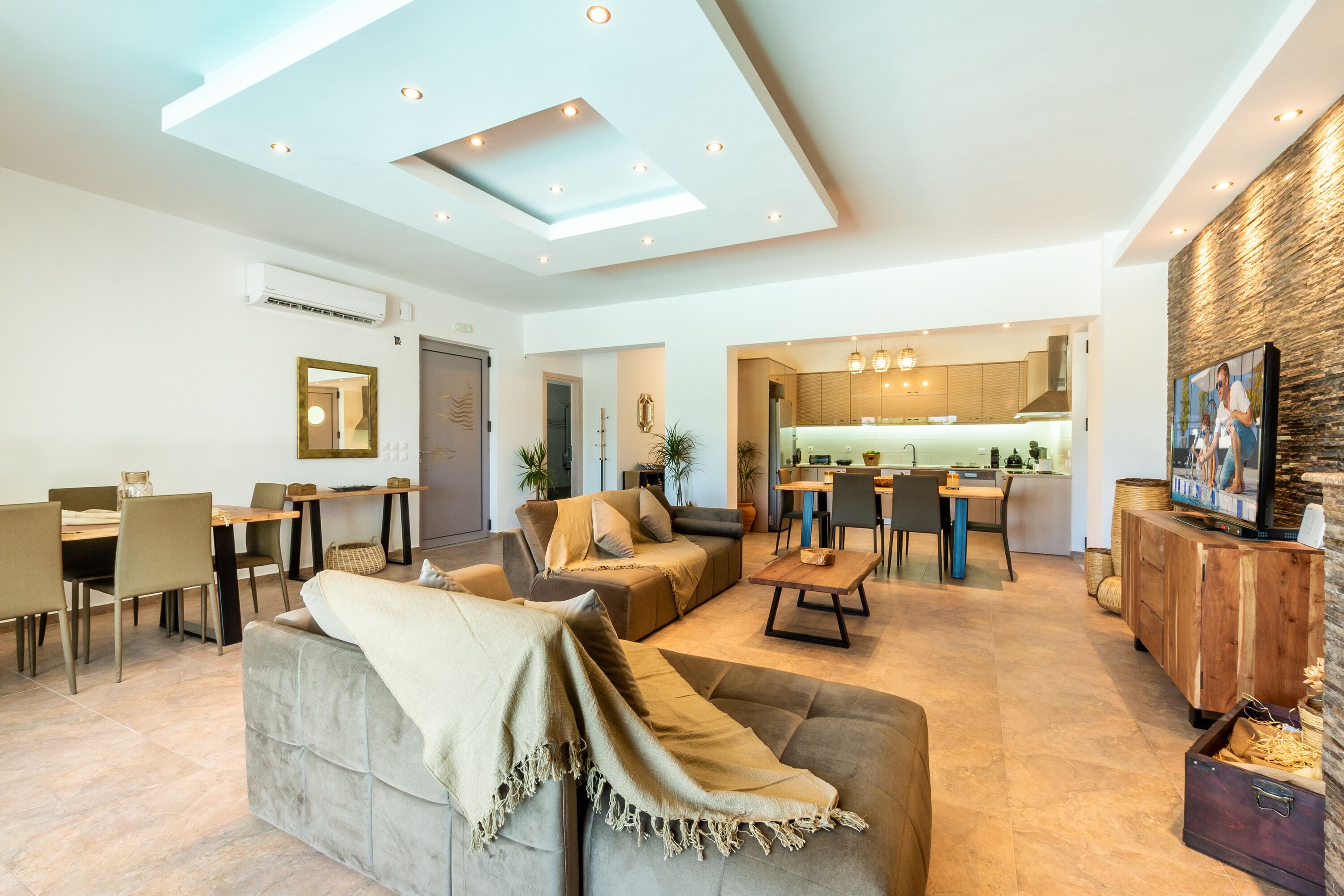 电视、壁炉、DVD 播放器、书