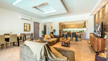 Télévision, cheminée, lecteur de DVD, livres