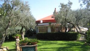 A house with a red roof, surrounded by olive trees and a well-maintained lawn.