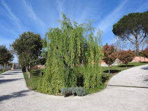 Property grounds - (FARA IN SABINA)