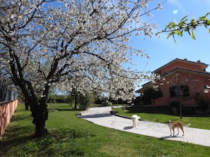 Property grounds - (FARA IN SABINA)