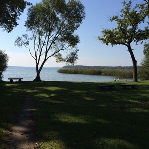 Property grounds - Apartment Wildrose - time at the lake for family and teams, nature & community (Bad Saarow)