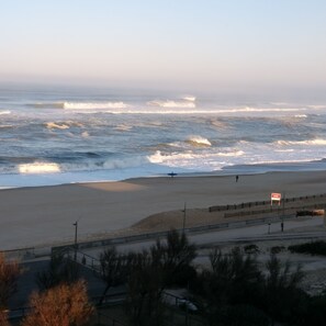 Accommodatie ligt op het strand