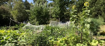 Bird Hill - A Garden Retreat in the Yarra Valley - Get Up Close to Native Birds