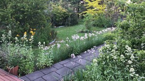 A garden with a paved walkway, various plants, and trees. - Bird Hill - A Garden Retreat in the Yarra Valley - Get Up Close to Native Birds (Woori Yallock)
