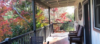 Bird Hill - A Garden Retreat in the Yarra Valley - Get Up Close to Native Birds