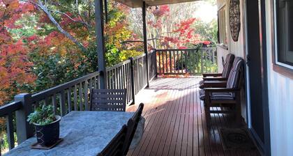 Bird Hill - A Garden Retreat in the Yarra Valley - Get Up Close to Native Birds