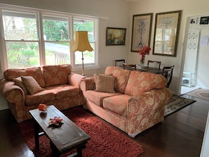 Smart TV, fireplace, Netflix, books