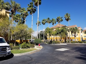 Stylish residential buildings line the street, surrounded by palm trees and a fire hydrant.