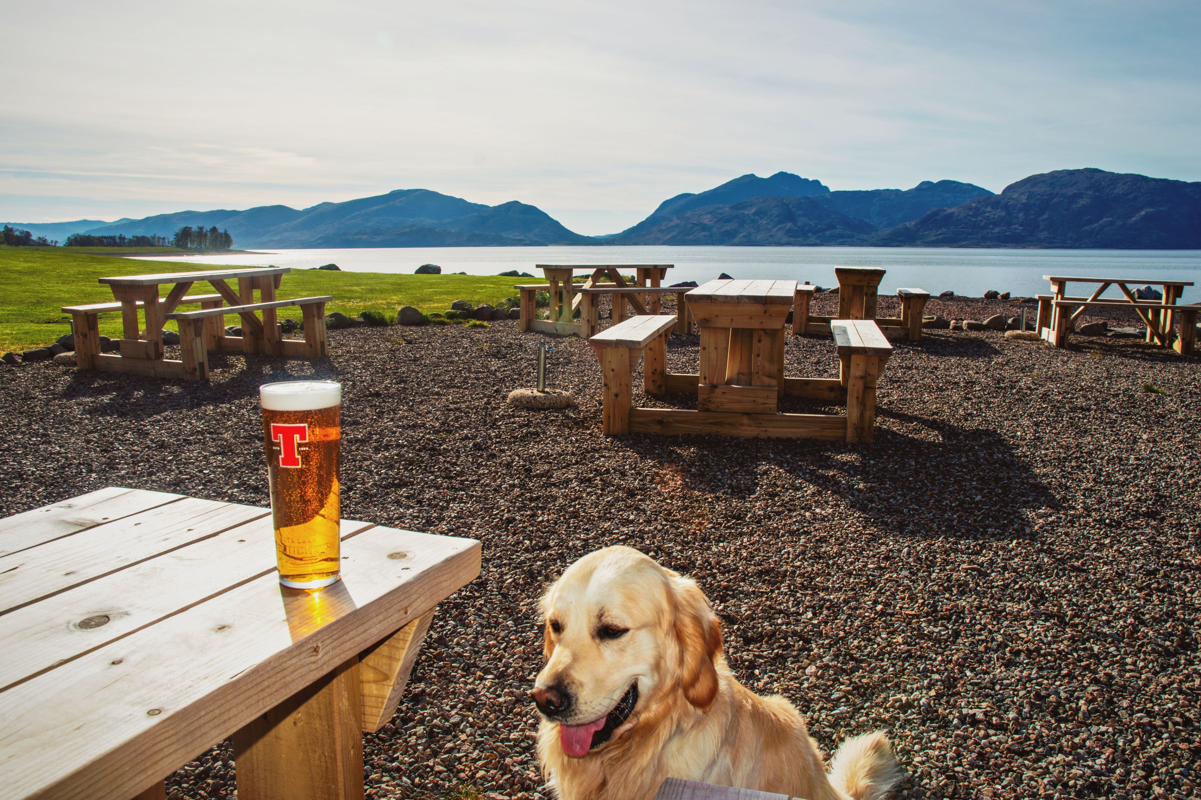 Una playa con mesas de picnic de madera y una cerveza en vaso.