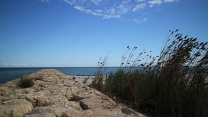 Uma costa rochosa com gramíneas altas e um céu azul límpido.
