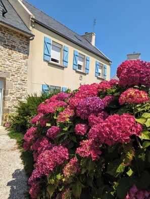 Um edifício de pedra com persianas azuis e um jardim de flores cor-de-rosa.