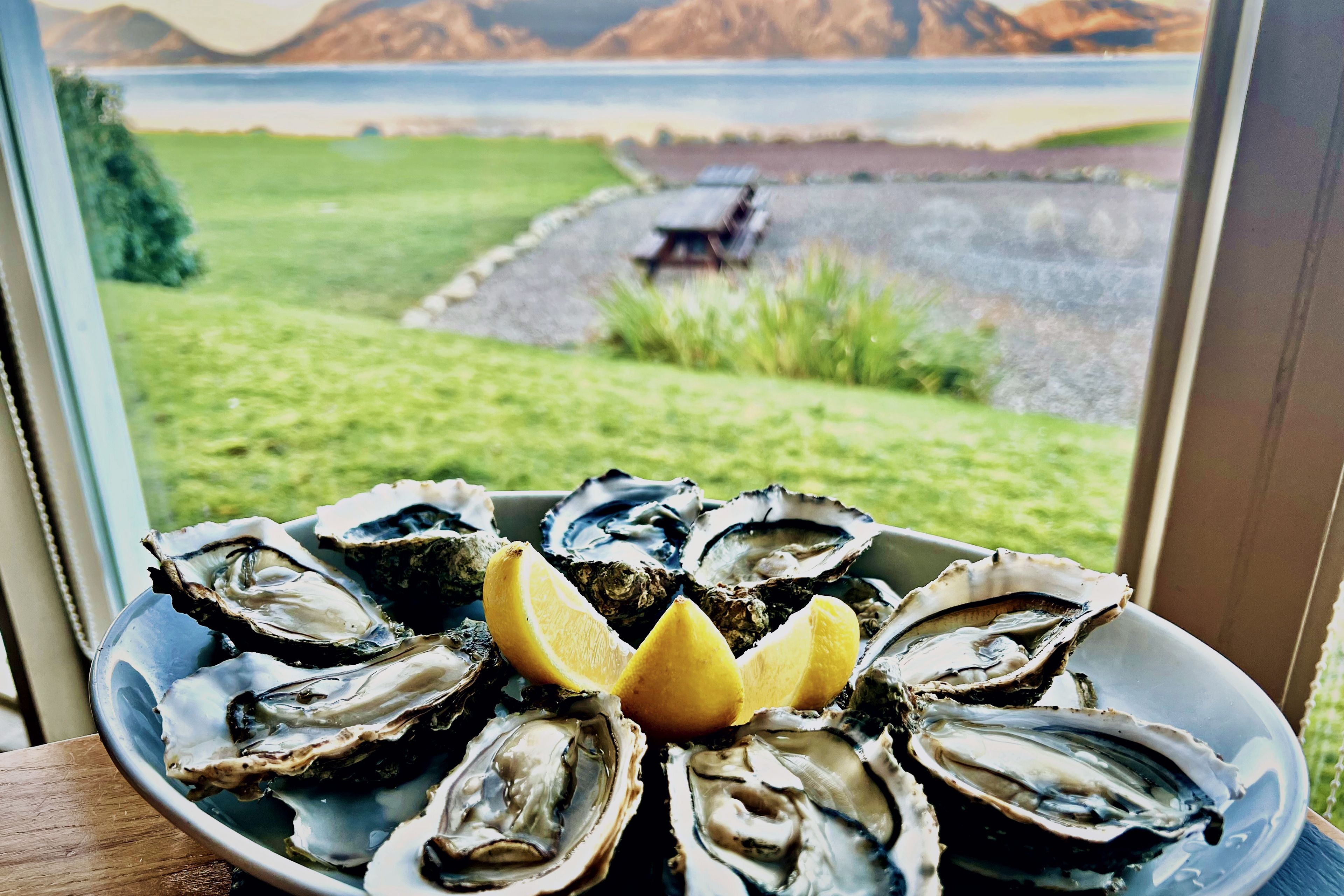 Un plato de ostras con gajos de limón, visto a través de una ventana con vistas a un paisaje con césped, un banco y montañas al fondo.