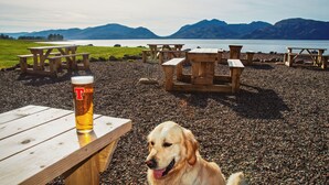 Una playa con mesas de picnic de madera y una cerveza en vaso.