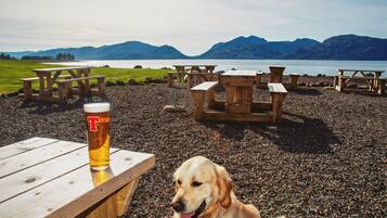 A beach with wooden picnic tables and a glass of beer.