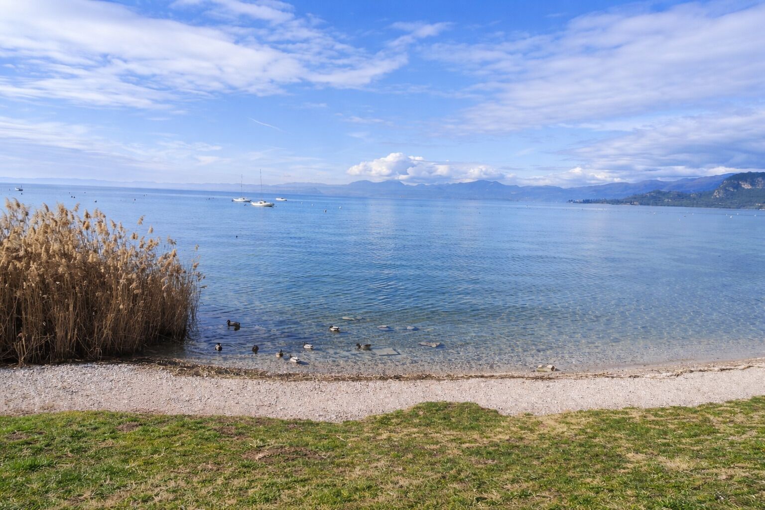 Plage à proximité, chaises longues