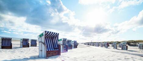 A beach with rows of striped beach chairs and umbrellas, a sandy path, and a clear sky.