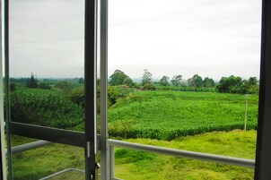 Vista dalla struttura