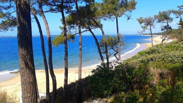 Paisagem costeira com praia, árvores e vista clara do mar.