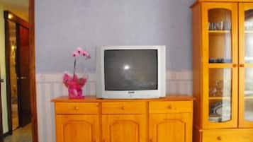 Télévision