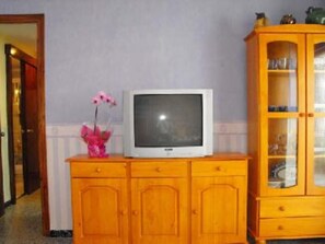 Télévision
