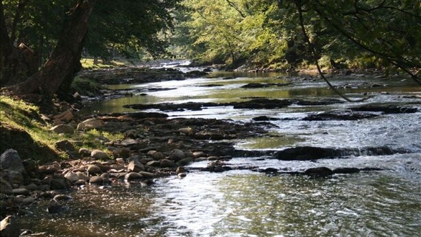 Un río que serpentea por un área boscosa con rocas y árboles.