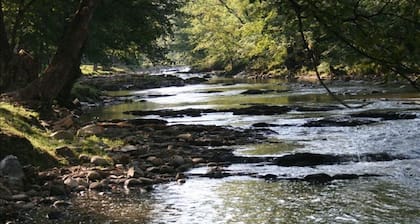 CLEARLY THE BEST RIGHT HERE