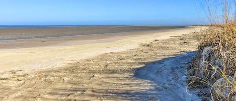 Plage à proximité