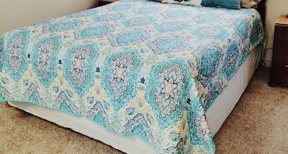 Efficiency, Like New Close to Palo Duro Canyon & WTA&M