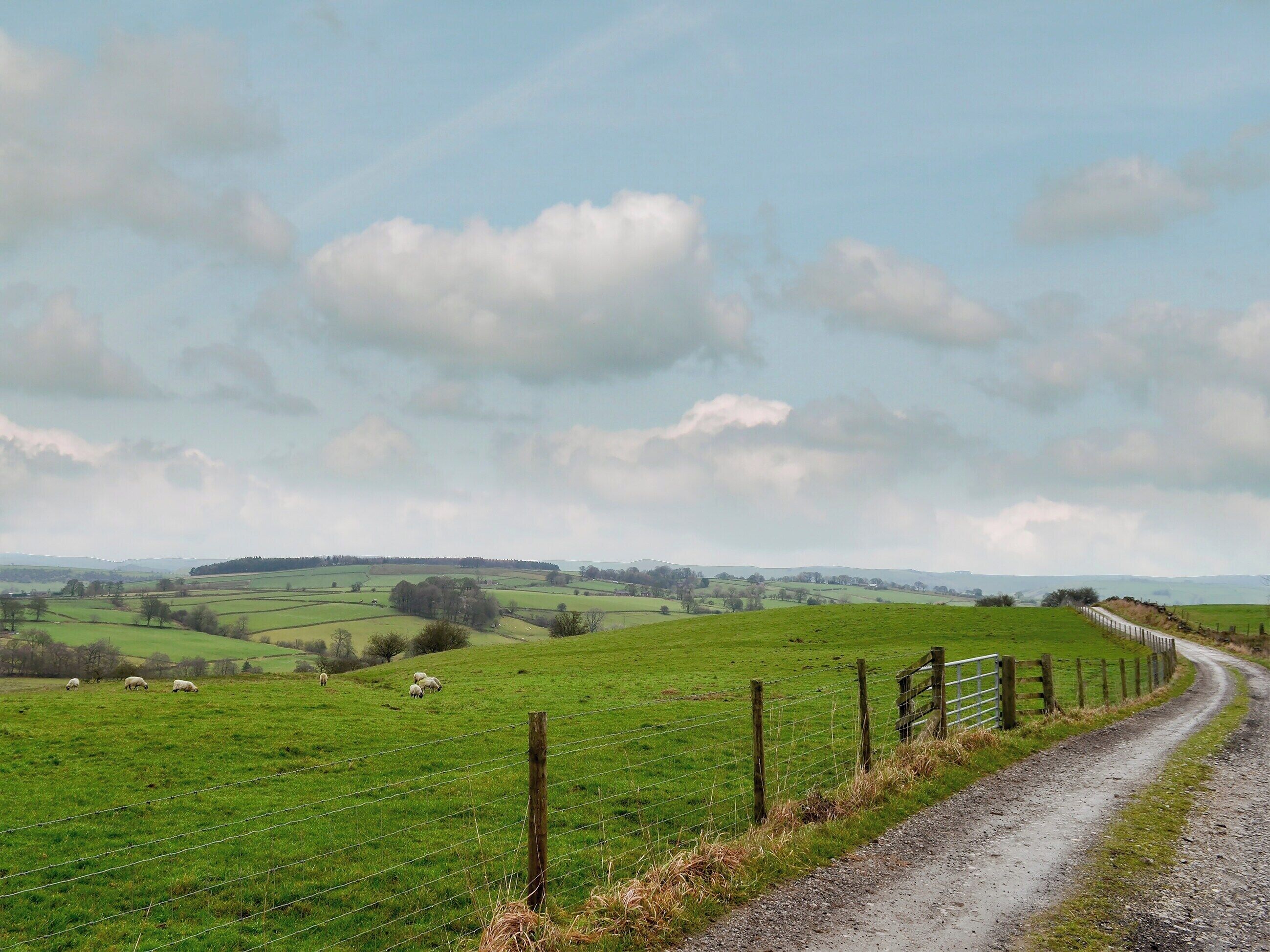 A rural landscape with a dirt road, green fields, and a fence.