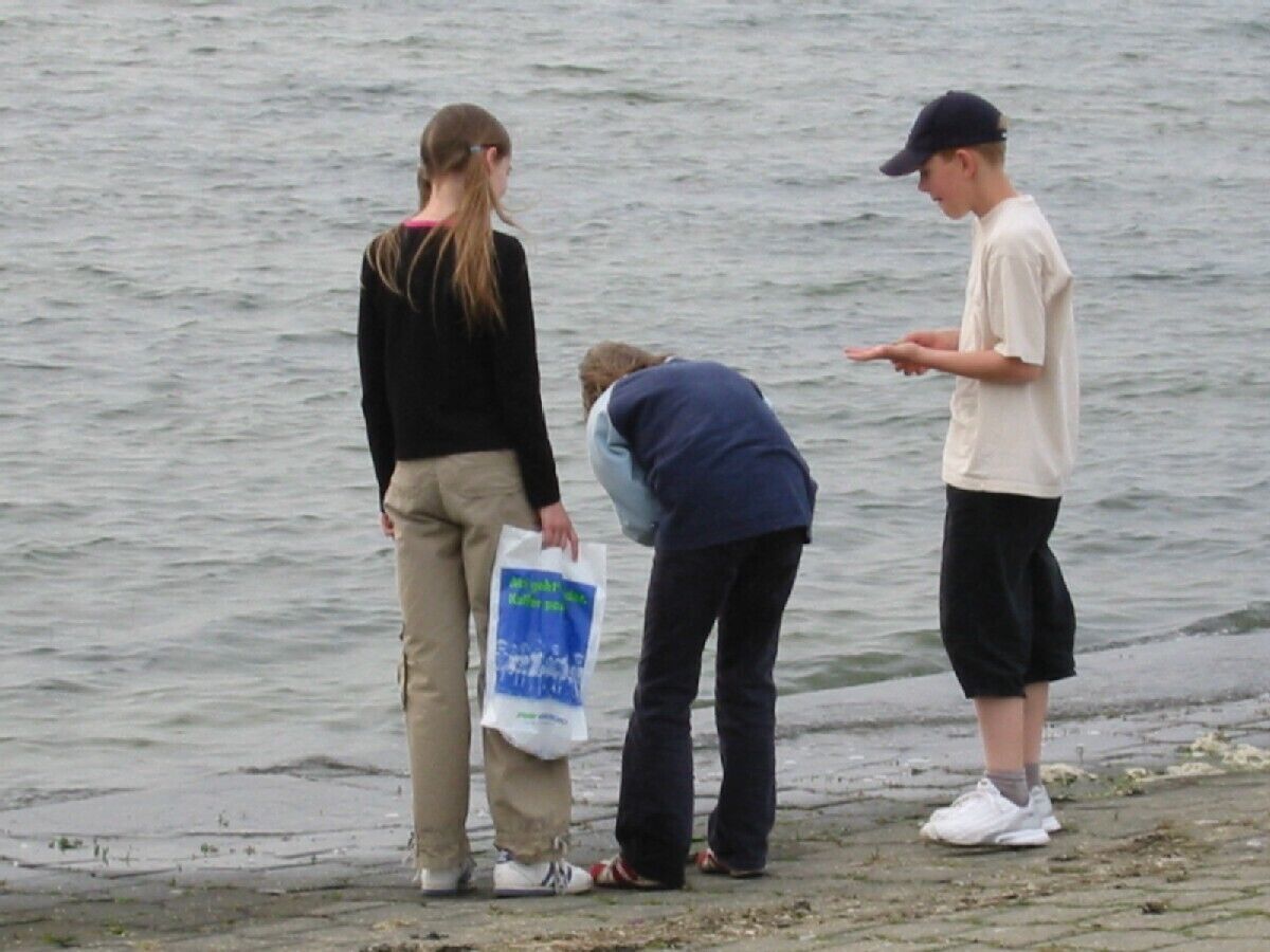 Muschelsucher im Watt