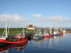 Marina - Apartment with a sweeping view of beautiful sunsets (Dornumersiel)