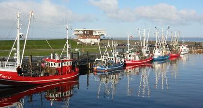 Asunto on laajat näkymät kauniita auringonlaskuja