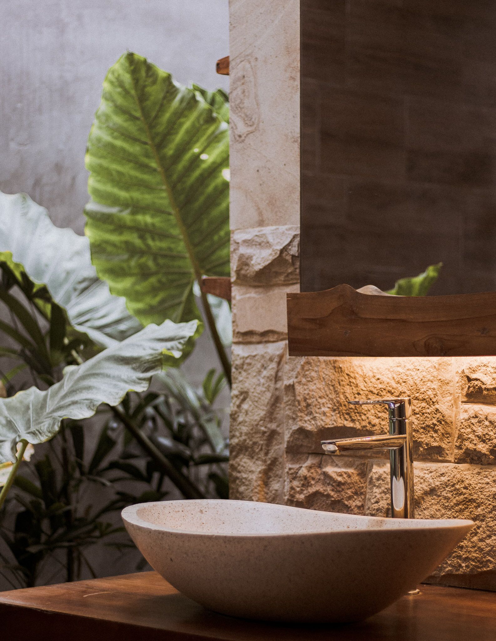 A stone sink with a modern faucet in a bathroom with a stone wall and large green leaves in the background.
