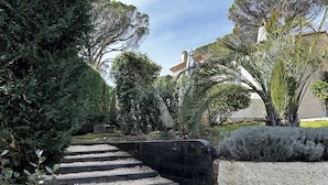 A set of stone steps leading up to a building, surrounded by various types of greenery and a gravel pathway.