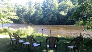 A grassy area with five wicker chairs facing a calm river, surrounded by dense trees. - Muskegon River Front Cabin  (Newaygo)