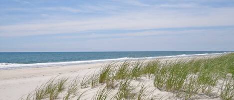 On the beach, sun loungers, beach towels