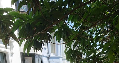 Apartamento de lujo sobre el casco antiguo de Hastings