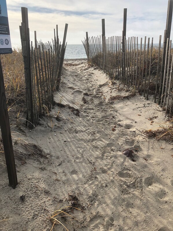 Beach nearby, sun loungers