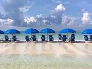Une plage à l’eau turquoise et limpide, bordée de rangées de chaises de plage bleues et d’un assortiment de parasols.