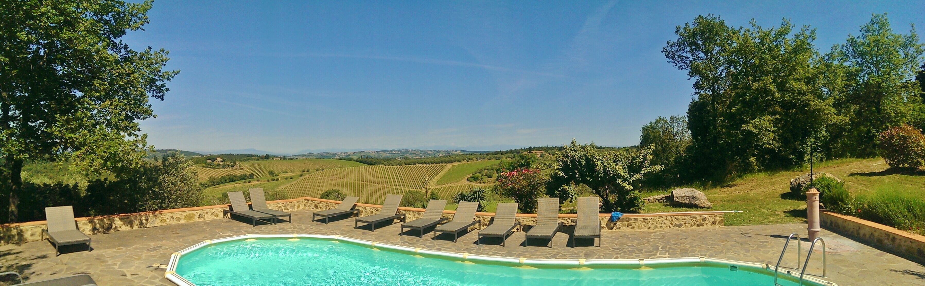 Piscina con sillones de descanso y vistas a un viñedo.