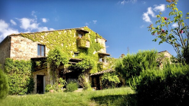 An old stone building with ivy-covered walls and a rustic appearance. - Beautiful historic 7-bedroom Villa on organic olive farm, pool & sunset views (Castellina in Chianti)