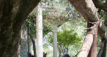 VILLA CECILIA/ap.1: Your ideal holiday stay at the heart of Mediterranean Sea