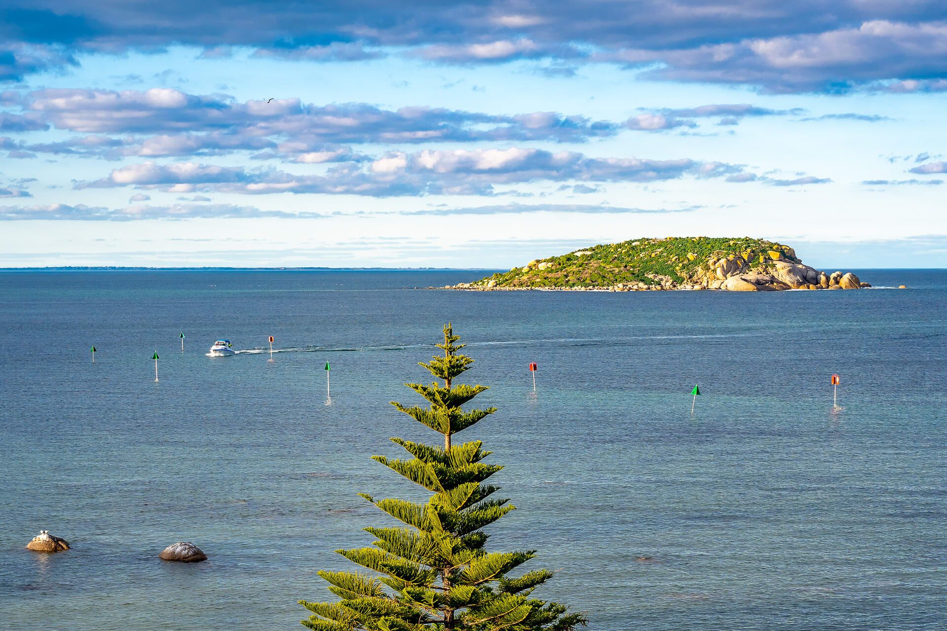 107 Franklin Pde - Amazing Views - Fabulous Outdoor Entertaining Area — image 27