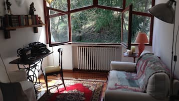 Televisión, chimenea, libros y estéreo