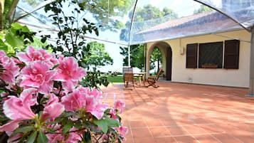 Terraza o patio
